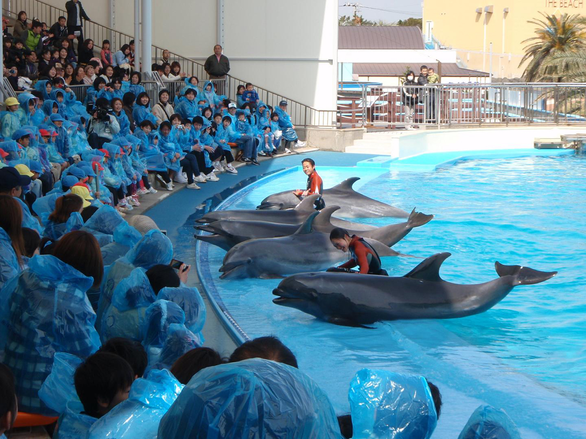 南知多海濱樂園&amp;南知多玩具王國