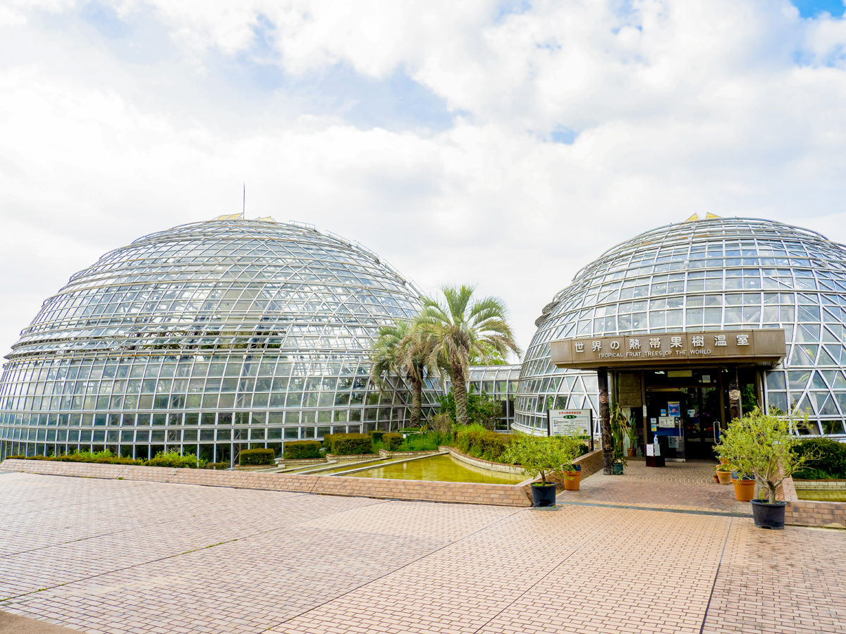 名古屋市東谷山水果公園