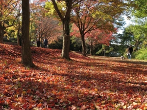 小幡綠地