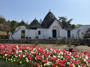 Little World Museum of Man