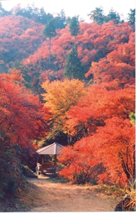 Mt. Miyaji