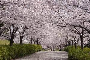 於大公園