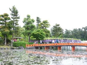 Tennogawa Park (Wisteria Festival)