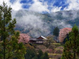 田峯地区