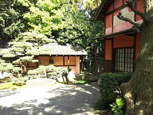 名古屋大仏 / 桃巌寺(とうがんじ)