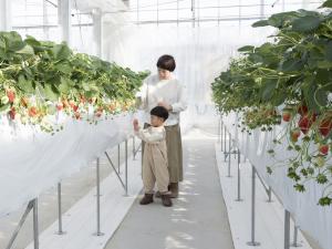 山笑う里 いちご狩り