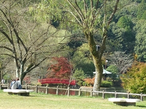 定光寺　定光寺公園