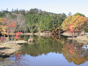 段戸裏谷原生林(きららの森)