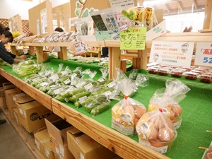 道の駅　つくで手作り村　産直