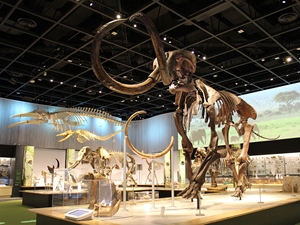 豊橋総合動植物公園,自然史博物館