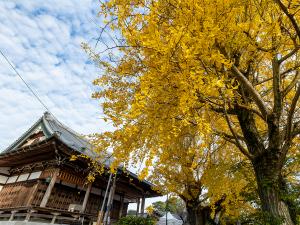 祐専寺