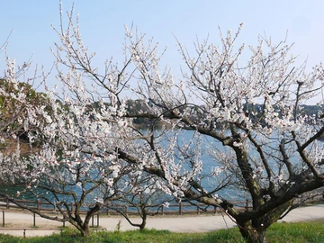 佐布里池