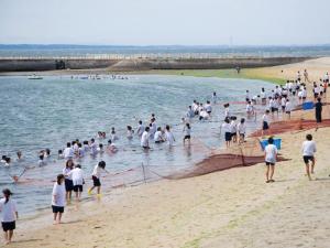 日間賀島