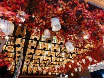 亀岳林 万松寺