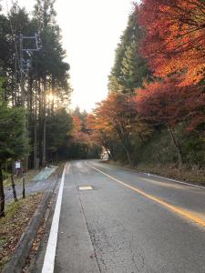 もみじ街道