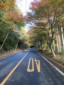 もみじ街道