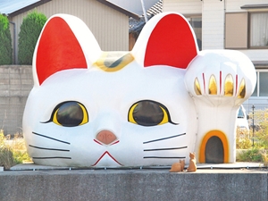 지킴이 고양이 '도코냥'