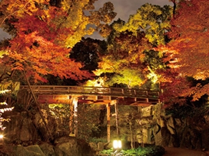 德川園