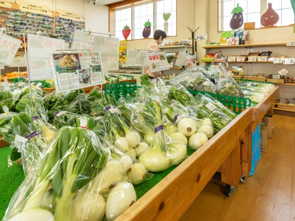 道の駅「デンパーク安城」