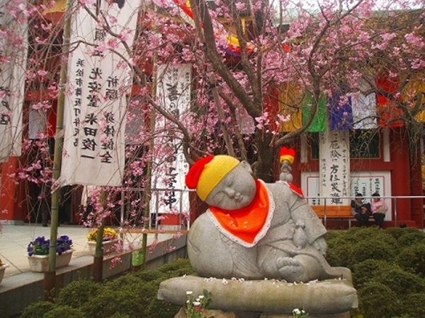 弘法山 遍照院
