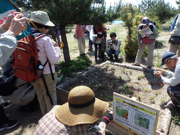 ⑦さららパーク自然観察会