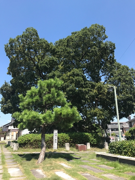 宮宿