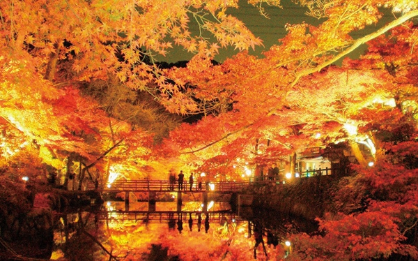 爱知高原国定公园・岩屋堂公园