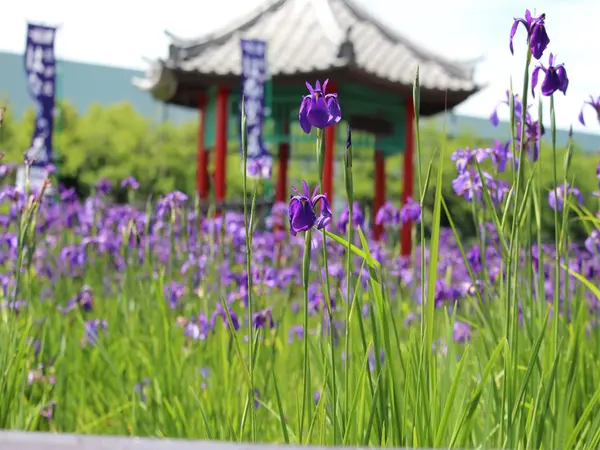 花かつみ園