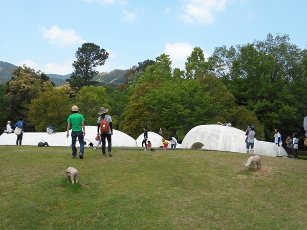 新城総合公園