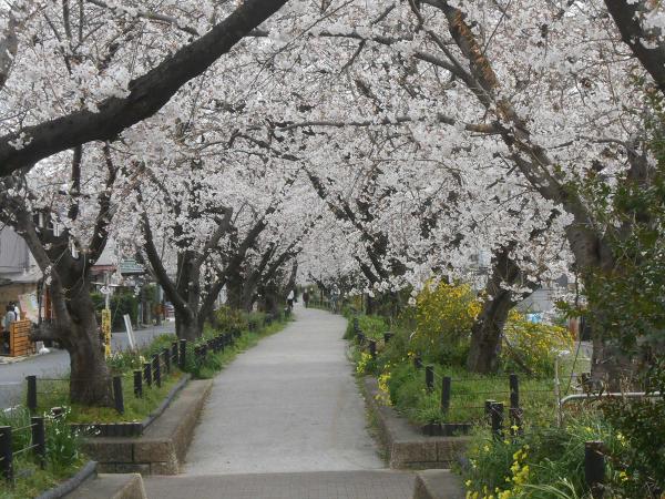 尾張広域緑道フレッシュパーク