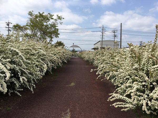 尾張広域緑道フレッシュパーク