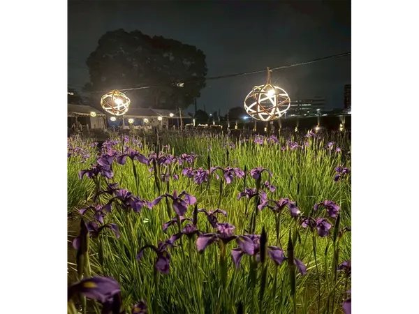 花かつみ園