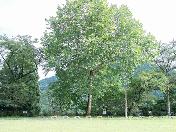 Nokiyama School