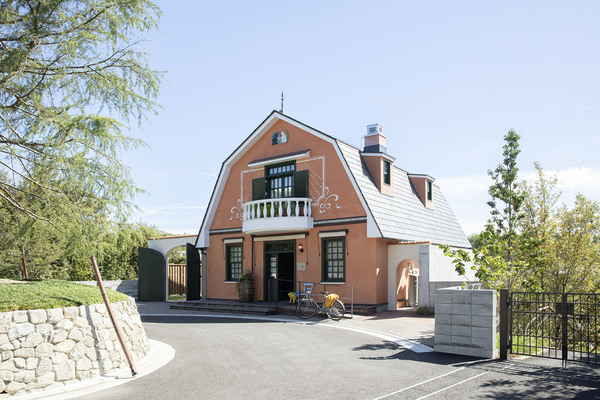 Hill of Youth