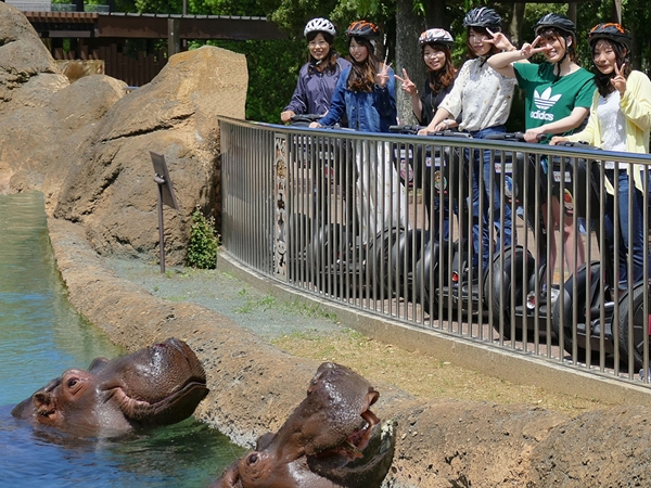 Toyohashi Zoo &amp; Botanical Park (Non Hoi Park)