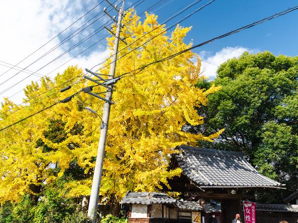 祐専寺