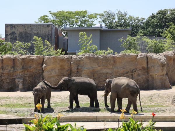 Toyohashi Zoo &amp; Botanical Park (Non Hoi Park)