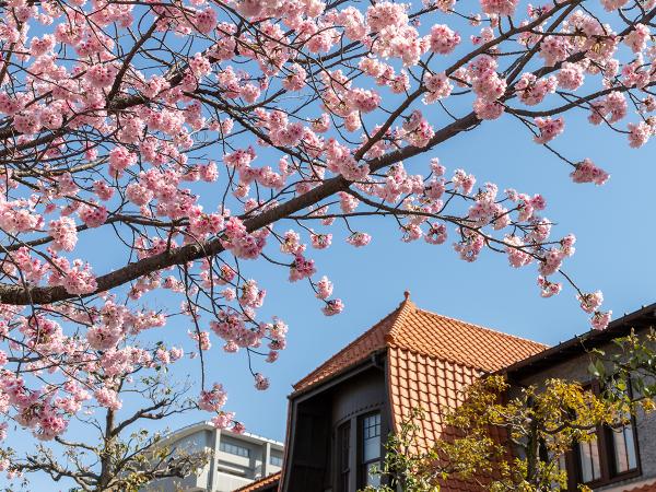 文化のみち二葉館
