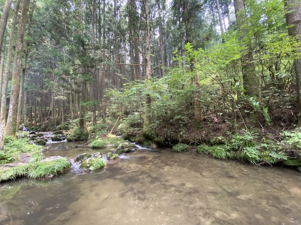 野原川観光センター