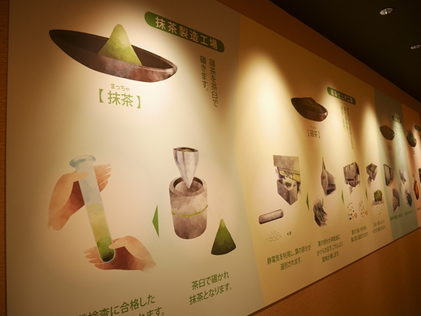 Matcha Museum Saijoen Wakuwaku