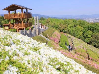 東三河故鄉公園