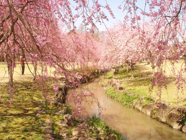 Aichi Prefecture Forest Park (Aichi-ken Shinrin Koen)