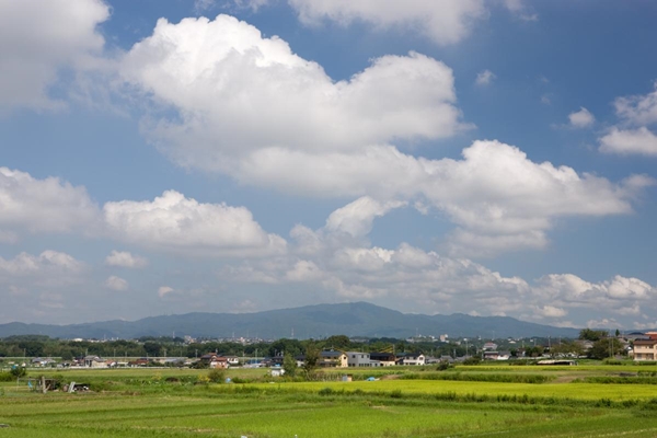 猿投山