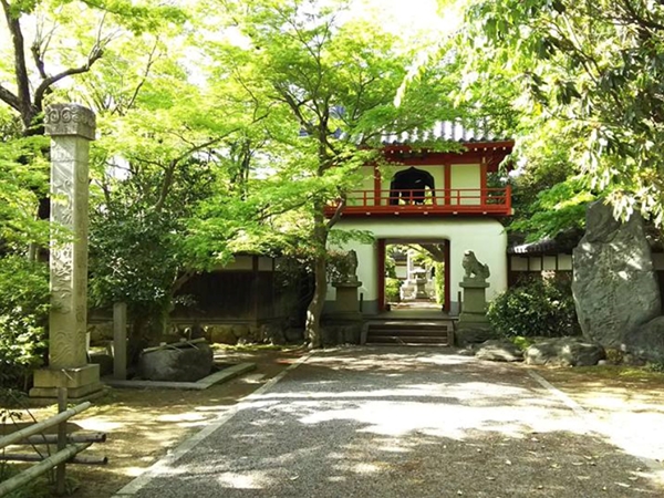 名古屋大仏 / 桃巌寺(とうがんじ)