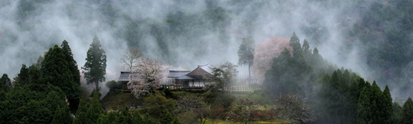 田峯城