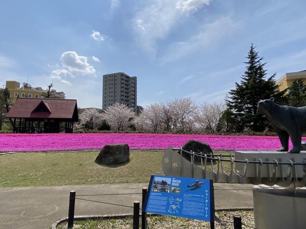 ミササガパーク(猿渡公園)