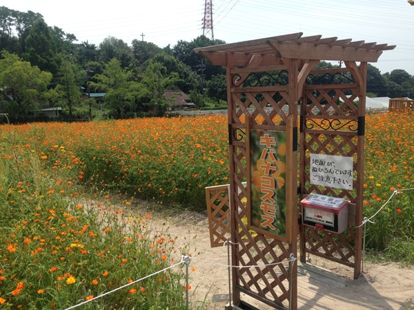 Aichi Ranch