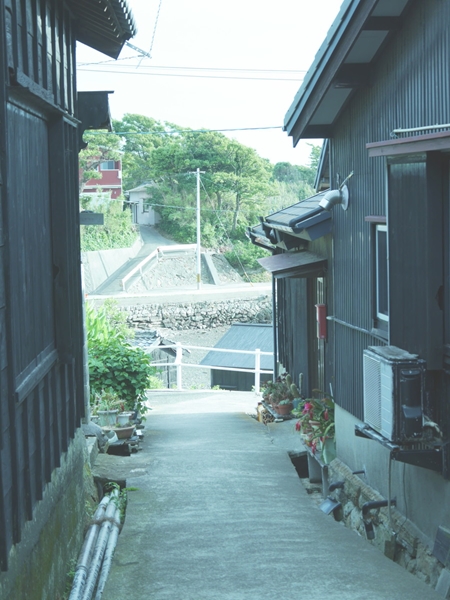 佐久岛