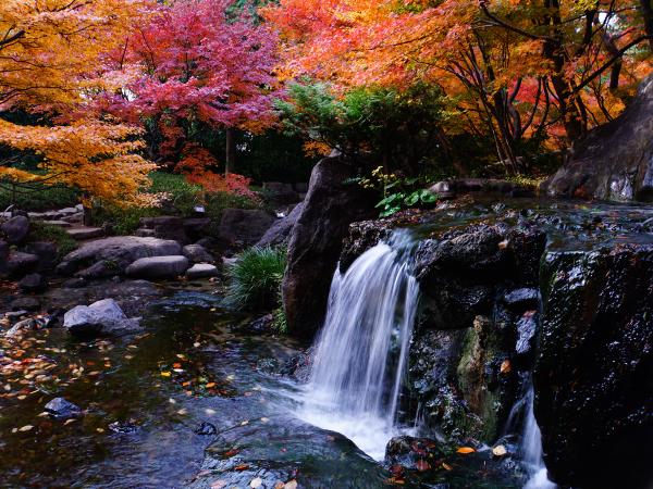 Shirotori Garden