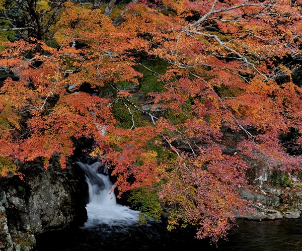 保殿の七滝